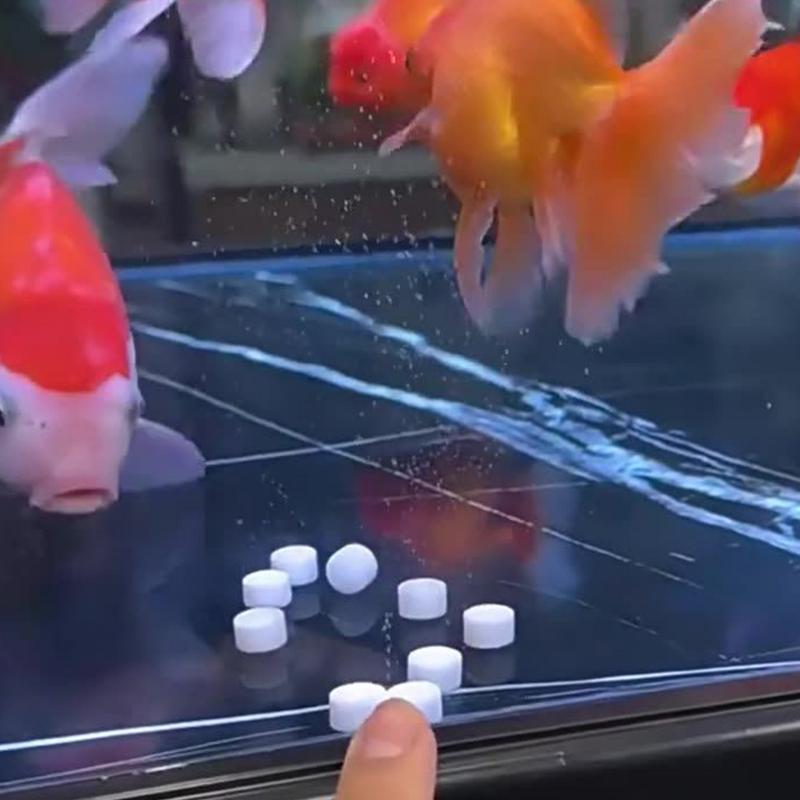 水族館の水浄化タブレット強力な藻類除去タブレット有害物質を除 - Water Purification Tablet のレビューと価格